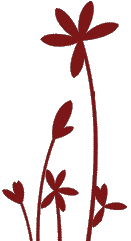 Simple Solutions Online Learning Centre